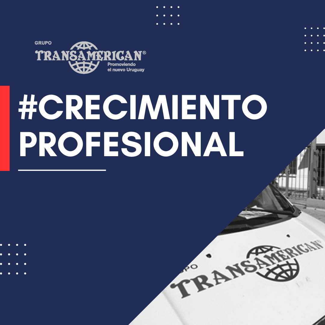 Oportunidades de crecimiento profesional en Transamerican