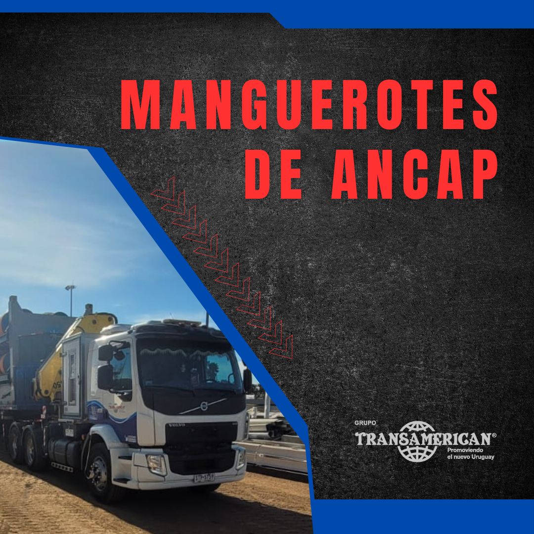 Transamerican: un socio estratégico en transporte y logística