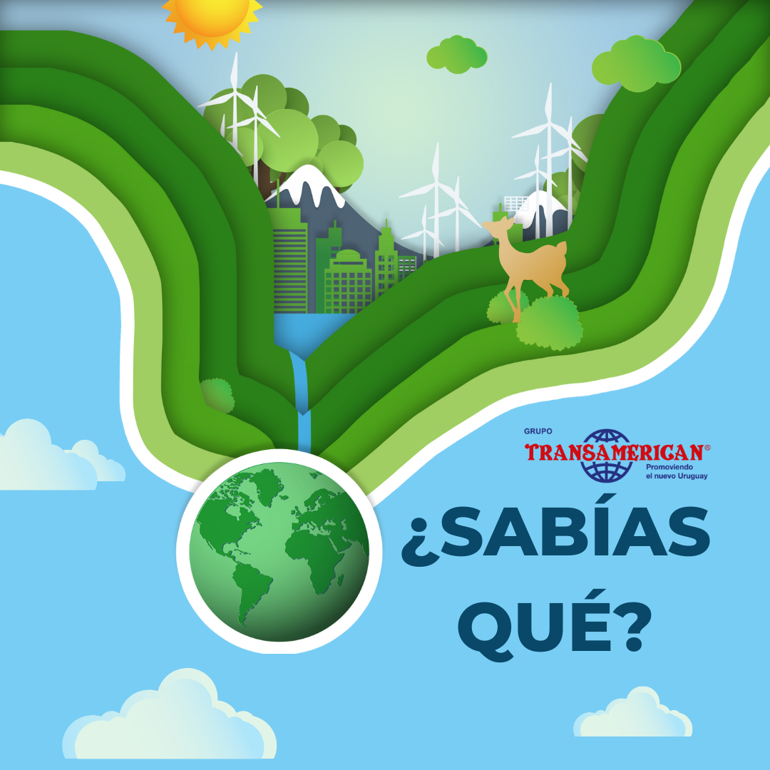 Transamerican da un paso adelante hacia la sostenibilidad del medio ambiente para el 2024