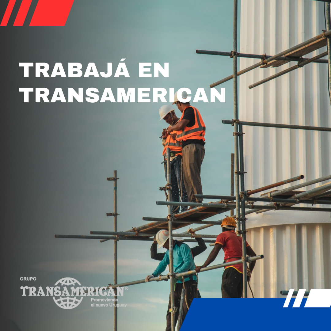 Oportunidades de crecimiento constante en Transamerican