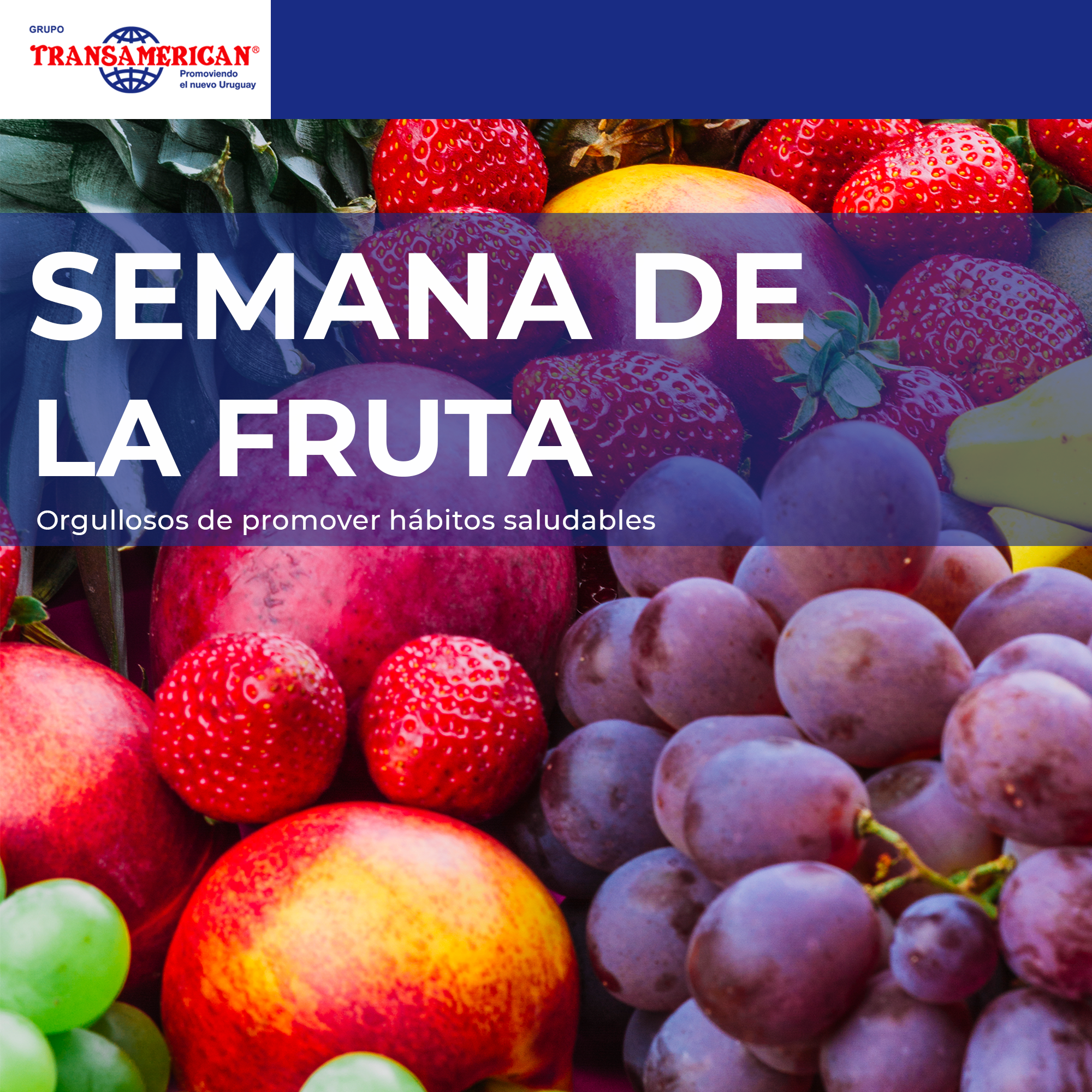 La Semana de la Fruta: un hito anual que nos llena de orgullo en Transamerican