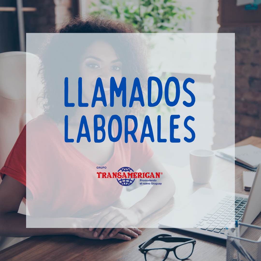 Llamados laborales en Transamerican: ¡Sumate al equipo y crecé como profesional!