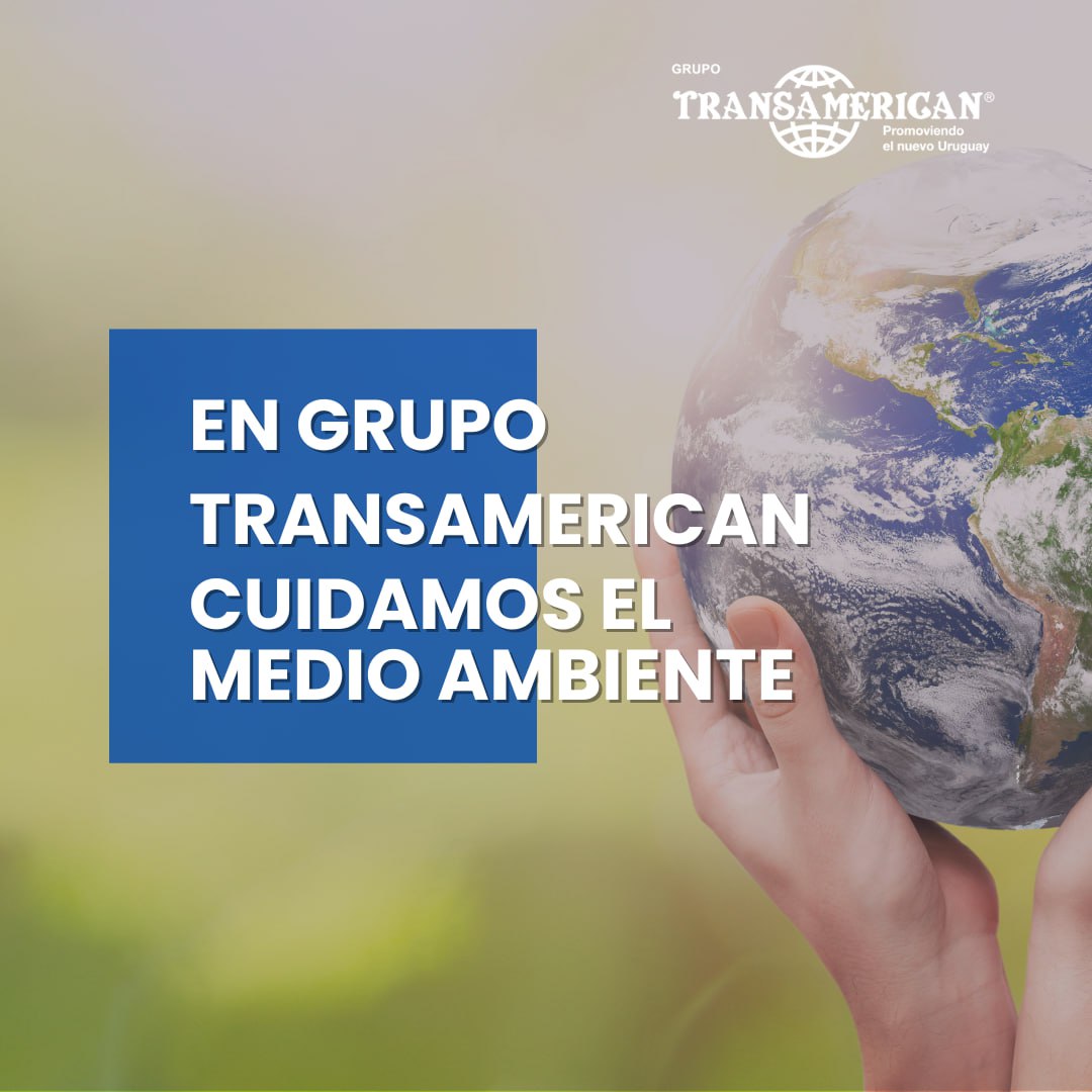 Grupo Transamerican: desarrollando un entorno sustentable