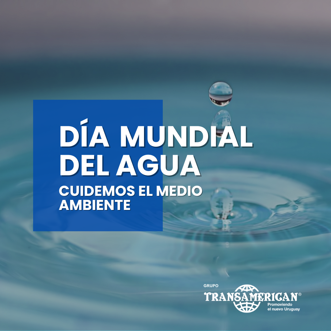 Día Mundial del Agua: un recurso indispensable en Uruguay y el mundo